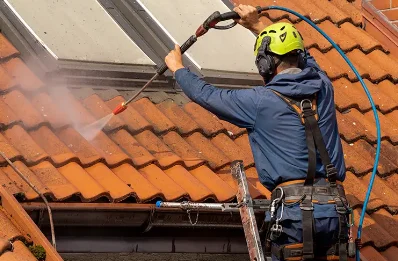 Démoussage et hydrofuge de toiture aux Grangettes